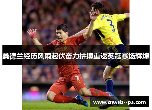 桑德兰经历风雨起伏奋力拼搏重返英冠赛场辉煌